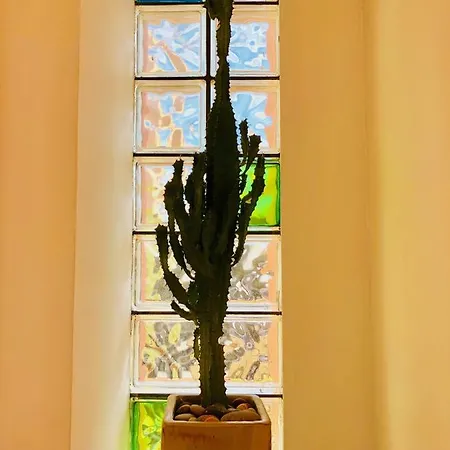 Casa Ciampi Locazione Turistica 게스트하우스 4*